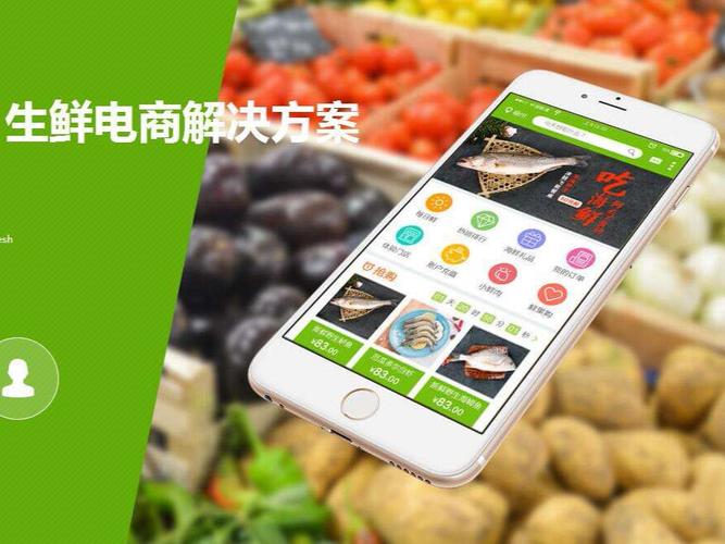 司科計算機 專業軟件外包與項目外包服務的可靠伙伴